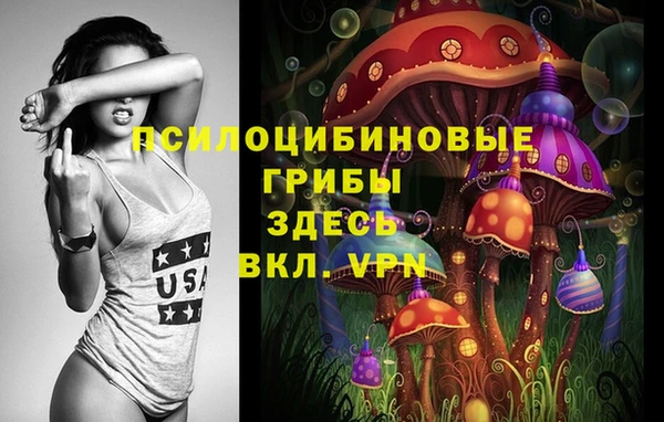 бошки Абаза